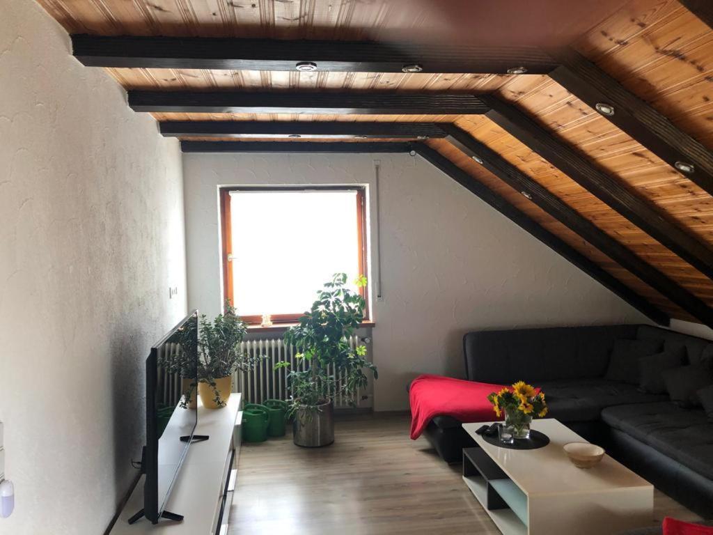 שופהיים Ferienwohnung Zur Sonnenterasse In Gersbach מראה חיצוני תמונה